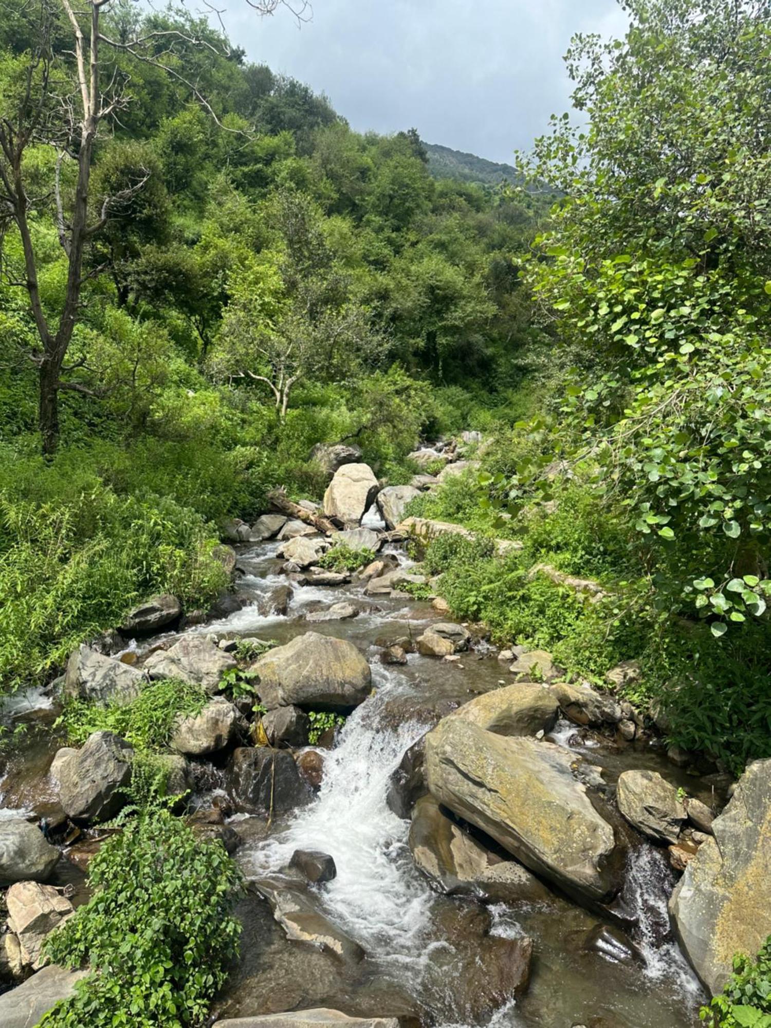 Deodar Village Homestay Devalsari Мусори Екстериор снимка