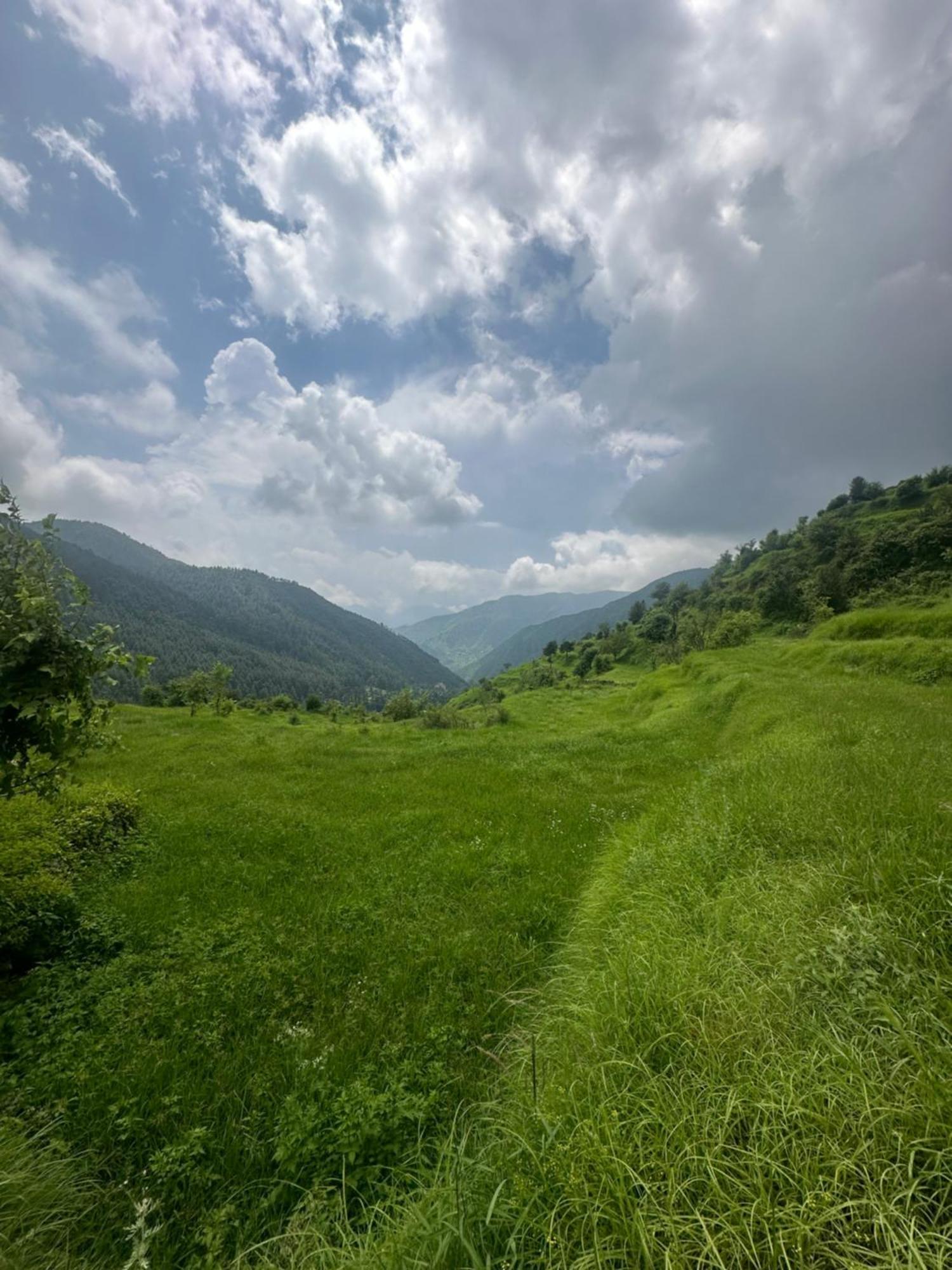 Deodar Village Homestay Devalsari Мусори Екстериор снимка