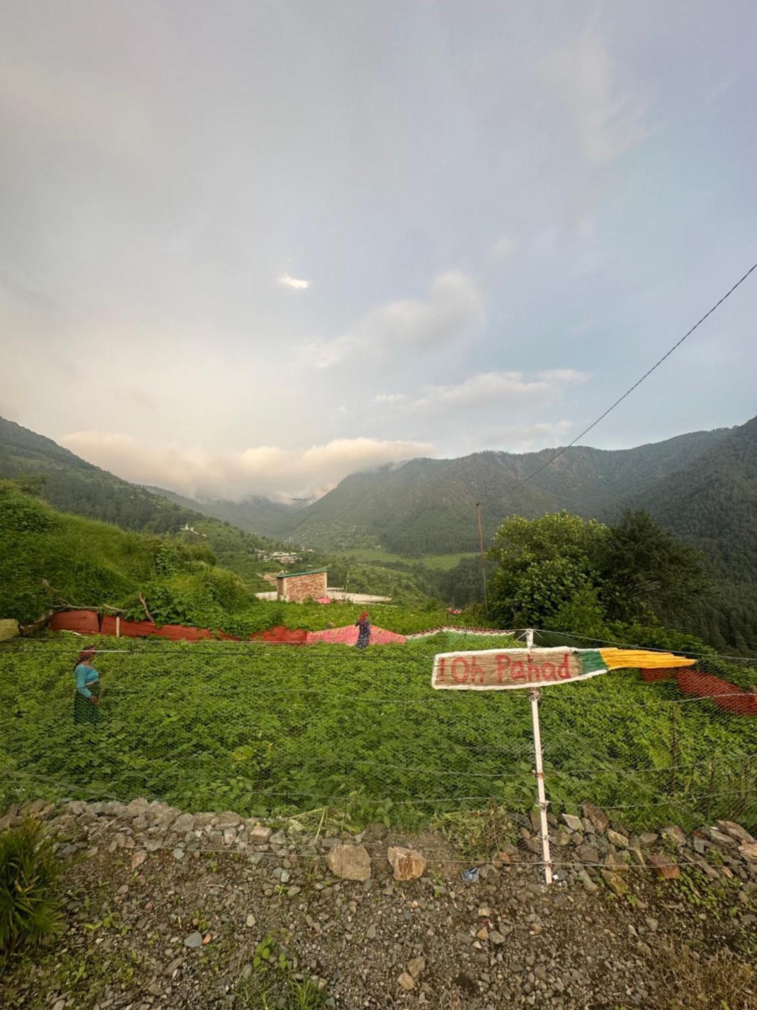 Deodar Village Homestay Devalsari Мусори Екстериор снимка