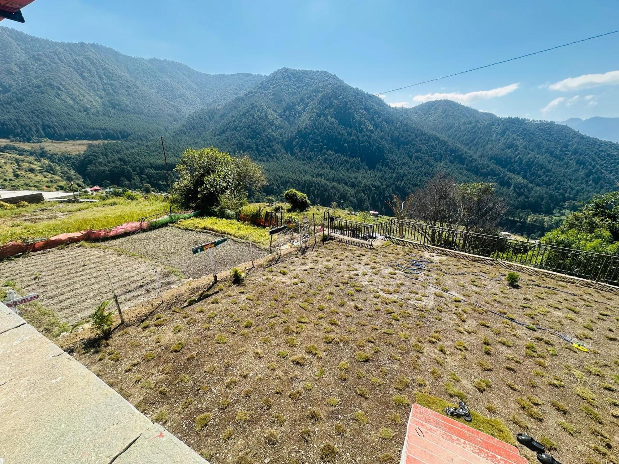 Deodar Village Homestay Devalsari Мусори Екстериор снимка